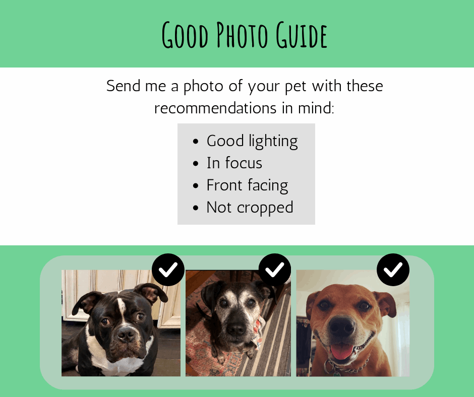 Handmade Handcranked Custom Chainstitch Embroidered Framed Pet Portrait good photo guide