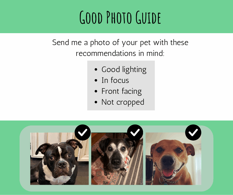 Handmade Handcranked Chainstitch Embroidered Custom Pet Portrait Patch - LARGE

Photo guide for custom chainstitch embroidered pet portraits