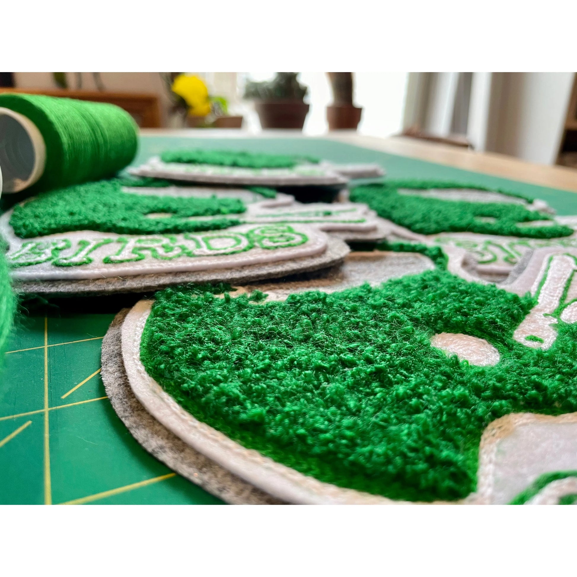 Philadelphia Eagles Go Birds Philly sports Chenille football helmet patch kelly green.
